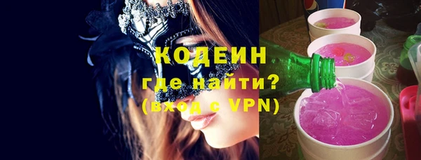 дмт Гатчина