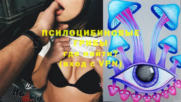винт Дмитриев
