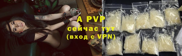 винт Дмитриев