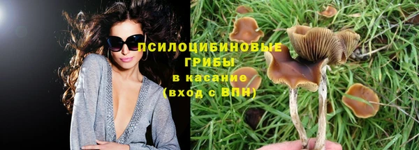винт Дмитриев